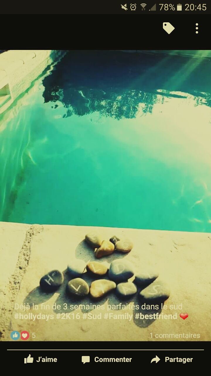 REFLECTION OF TREES IN WATER