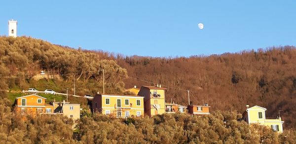 Houses and trees against clear sky