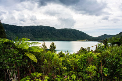 Scenic view of lake and mountains against sky