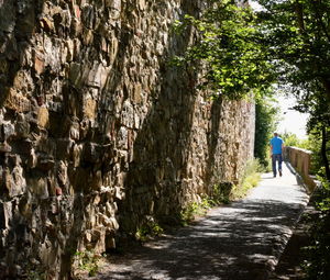 Rear view of a man walking on footpath