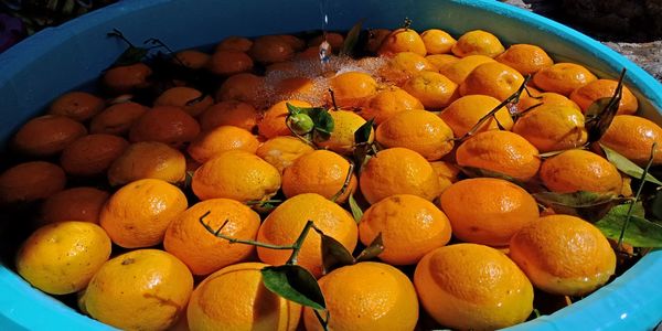 High angle view of fruits in market