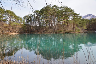 Scenic view of lake in forest against sky