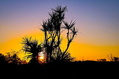 Low angle view of silhouette trees against sky at sunset