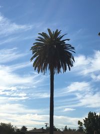 Low angle view of palm tree against blue sky