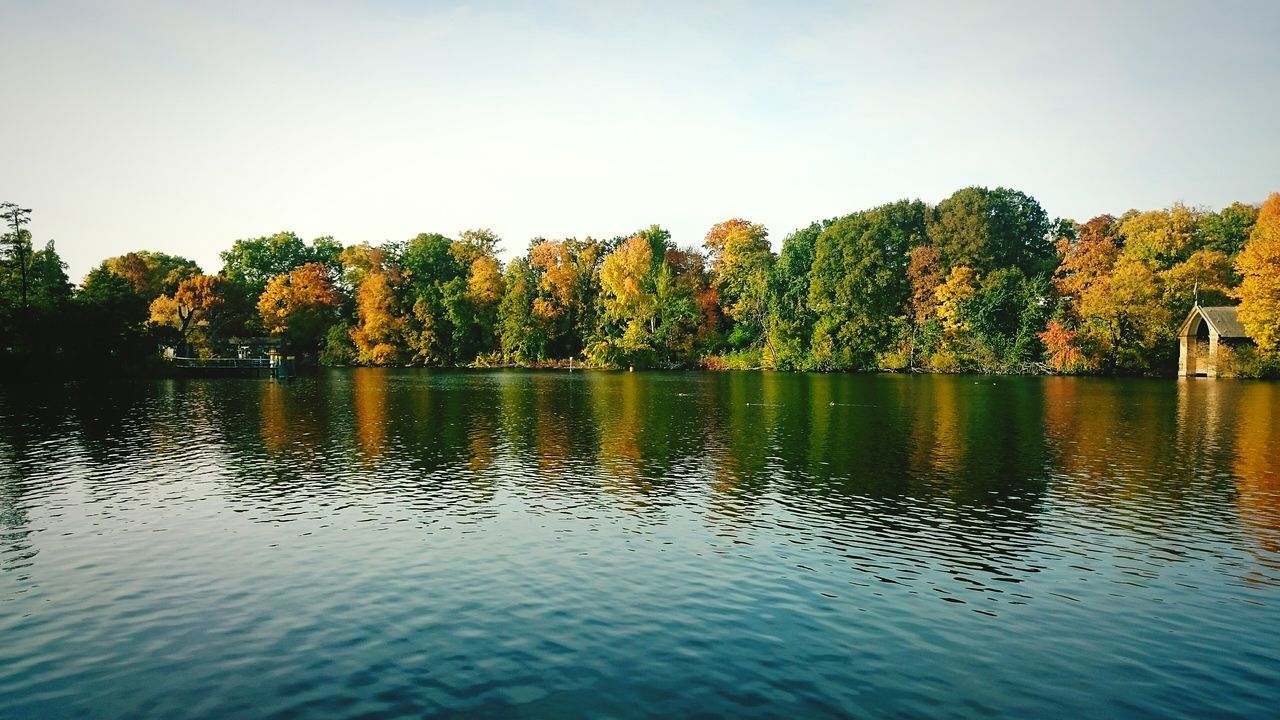 Dutch autumn landscape