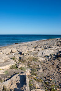 Scenic view of beach against clear blue sky