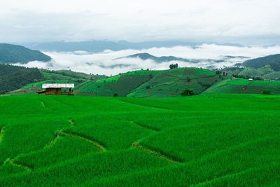 Scenic view of agricultural field on the mountain against sky