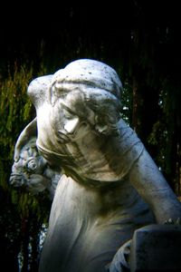 Close-up of statue in park