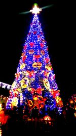 Low angle view of illuminated christmas tree at night