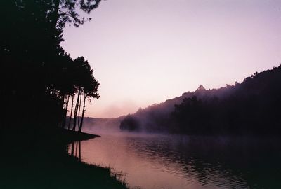 Silhouette trees by lake during foggy weather