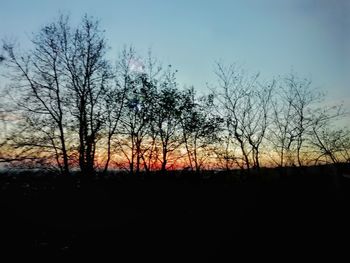 Silhouette bare trees on field against sky at sunset