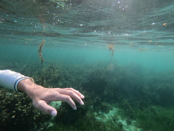 Cropped hand of person swimming underwater