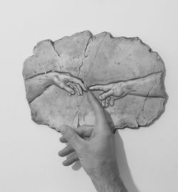 Close-up of hand holding leaf over white background