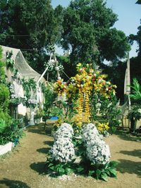 View of flowering plants in garden