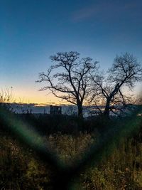 Bare tree on field against clear sky