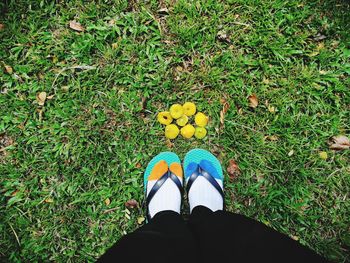 Low section of person standing on grassy field