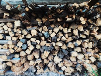 Stack of logs in forest