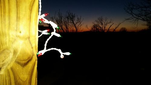 Close-up of bare tree against sky at night