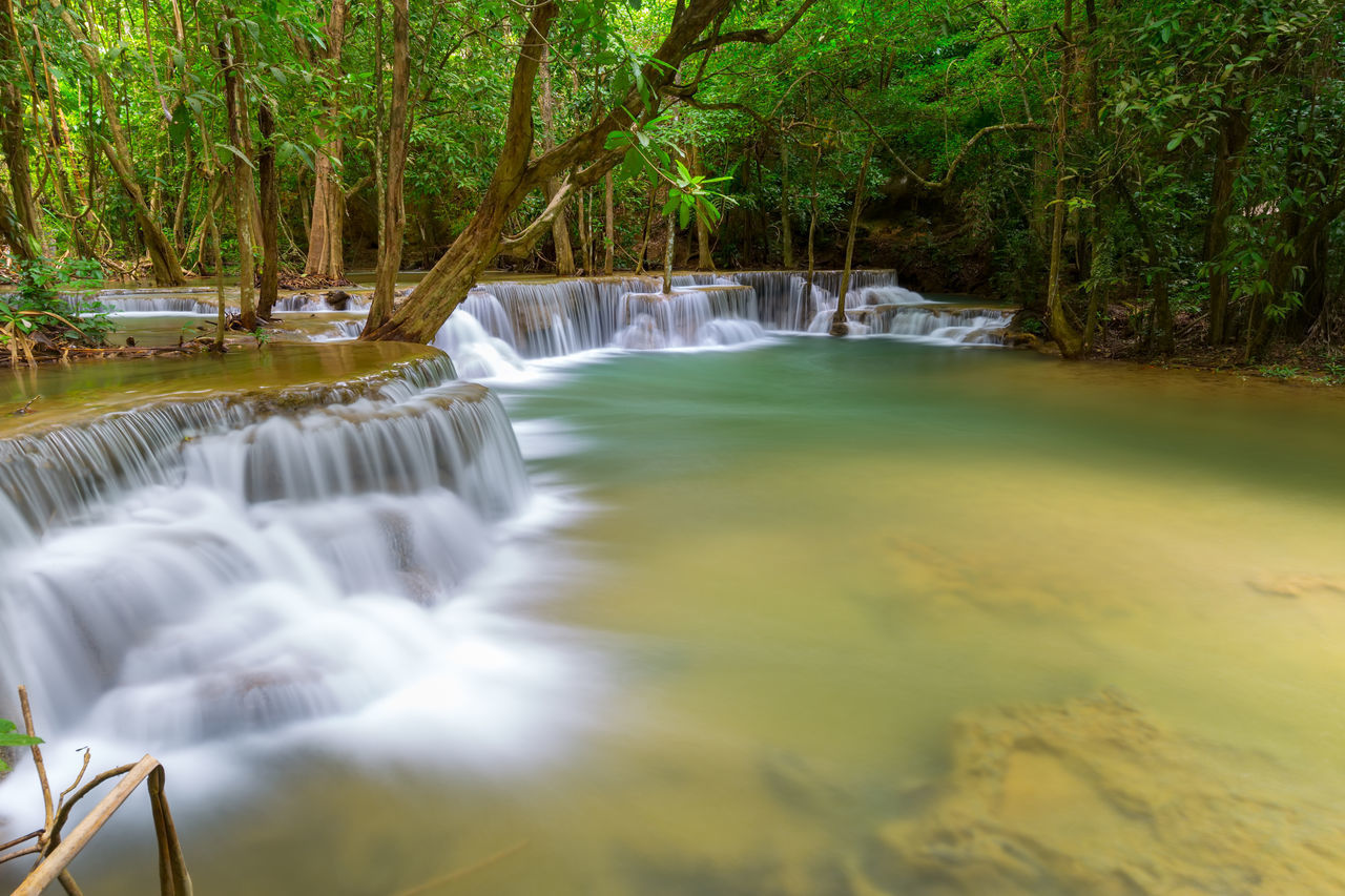 SCENIC VIEW OF WATERFALL AT FOREST