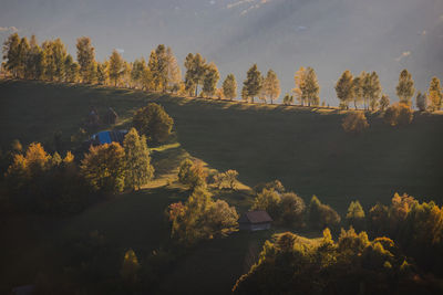 Scenic view of trees against sky during autumn