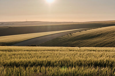 Scenic view of field against sky during sunset