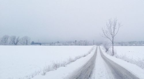 Bare trees on snow covered field