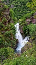 Scenic view of waterfall in forest