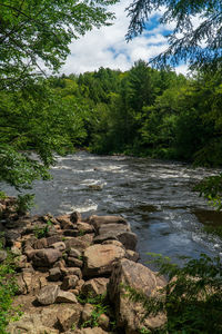 Scenic view of waterfall in forest against sky