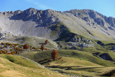 Scenic view of landscape against clear sky