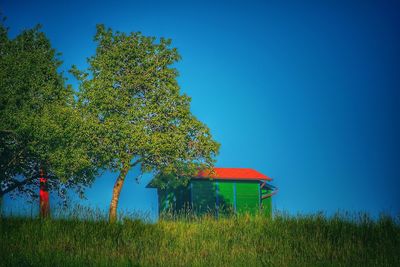 Plants growing on field against clear blue sky
