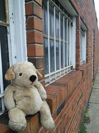 Abandoned toy against brick wall