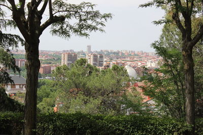 Trees and cityscape against sky