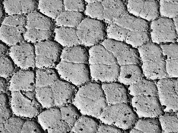 Full frame shot of brick wall