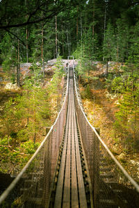 A beautiful hanging bridge in forest of finland