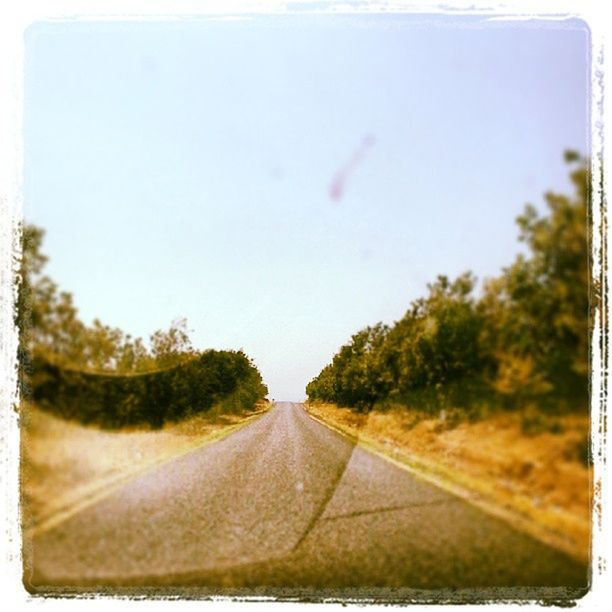 transfer print, transportation, auto post production filter, road, tree, the way forward, clear sky, road marking, diminishing perspective, sky, nature, vanishing point, day, country road, outdoors, street, copy space, no people, car, tranquility