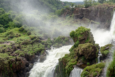 Scenic view of waterfall in forest