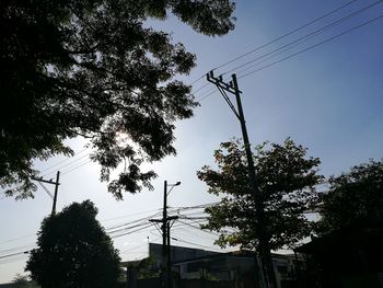 Low angle view of trees against sky