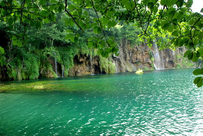 Scenic view of swimming pool against trees