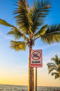 Information sign by palm trees at beach against sky