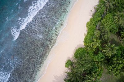 Drone field of view of waves, sand, sea and forest praslin seychelles.