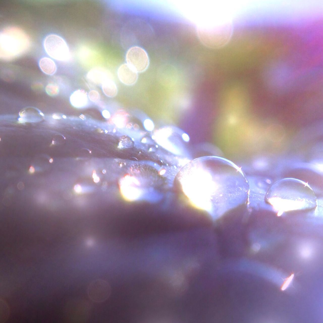 drop, lens flare, defocused, focus on foreground, close-up, water, wet, selective focus, illuminated, fragility, nature, beauty in nature, shiny, transparent, purity, glowing, no people, rain, season, dew