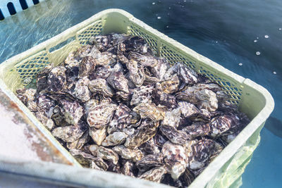 High angle view of fish for sale in market