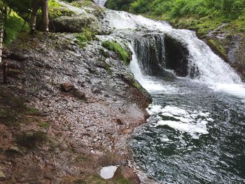 Scenic view of waterfall in forest