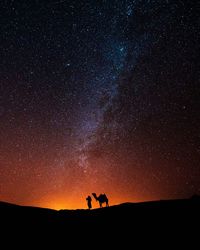 Silhouette of person with camel standing against sky at night