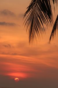 Close-up of silhouette palm tree against romantic sky