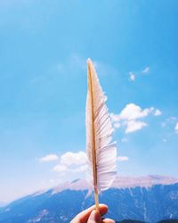 Close-up of hand holding feather against sky