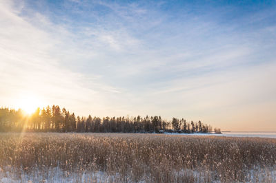 Scenic view of field against sky during winter