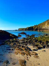 Scenic view of sea against clear blue sky