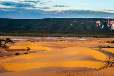 Scenic view of desert against sky