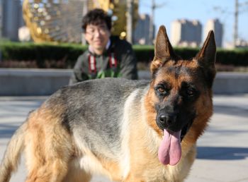 Portrait of dog